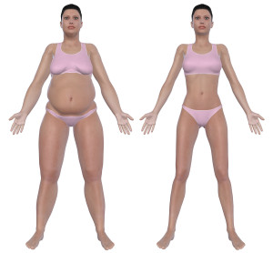 Before and after front view illustration of a overweight female and a healthy weight female after dieting and exercising. Isolated on a solid white background.